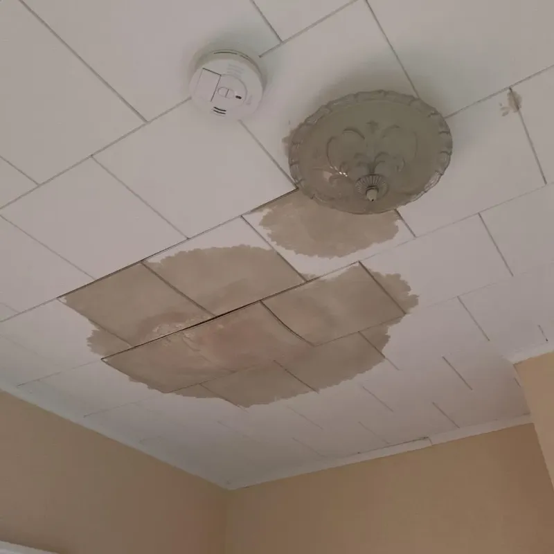 Ceiling Water Damage Repair in Oneida, TN