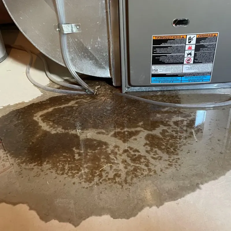 Pipe Burst and Leak Restoration in Oneida, TN