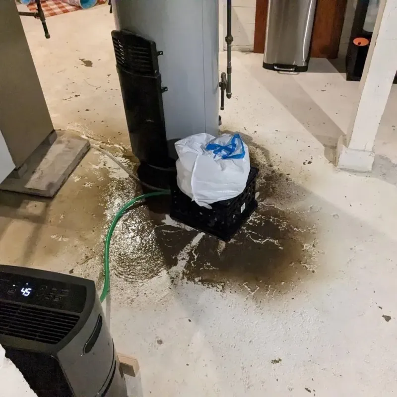 Sewage Backup Cleanup Service in Oneida, TN